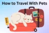 How to Travel With Pets: Smart Tips for Happy Travels - Post Thumbnail