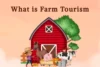 What Is Farm Tourism: Complete Guide to Rural & Agro Experiences - Post Thumbnail