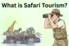 What is Safari Tourism: Smart Guide to Wildlife & Adventure Travel - Post Thumbnail