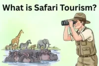 What is Safari Tourism: Smart Guide to Wildlife & Adventure Travel